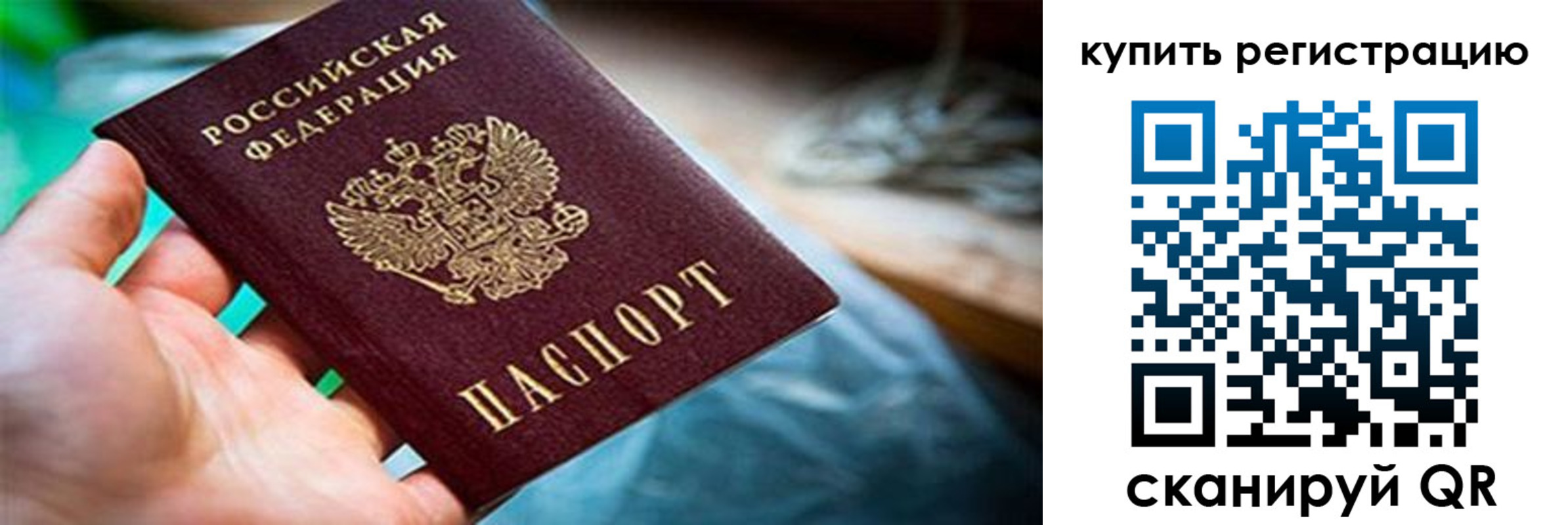 прописка гарантия в Камчатской области